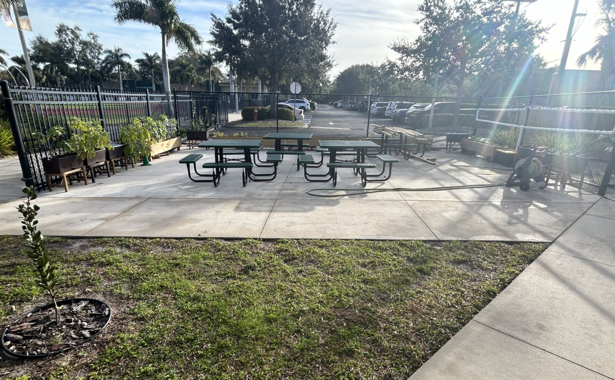 The middle school garden is a place for experiential learning, according to Science teacher Mr. Anthony Angelo.